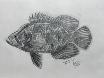 Tripletail