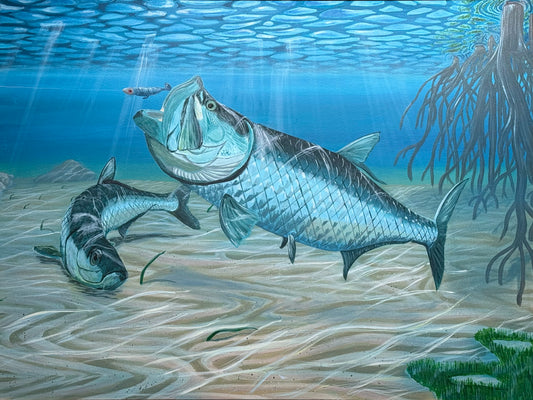 Kings of the mangroves