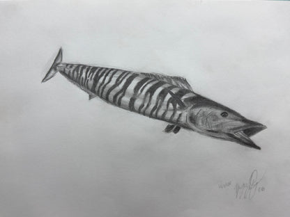 Wahoo