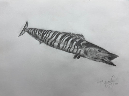 Wahoo